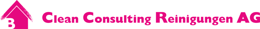 Clean Consulting