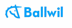 Gemeinderat Ballwil