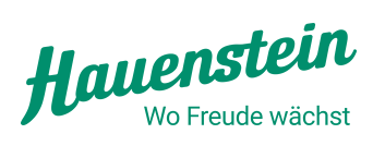 Hauenstein AG
