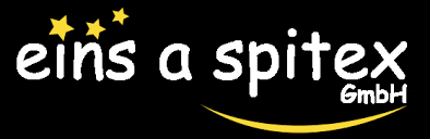eins a spitex