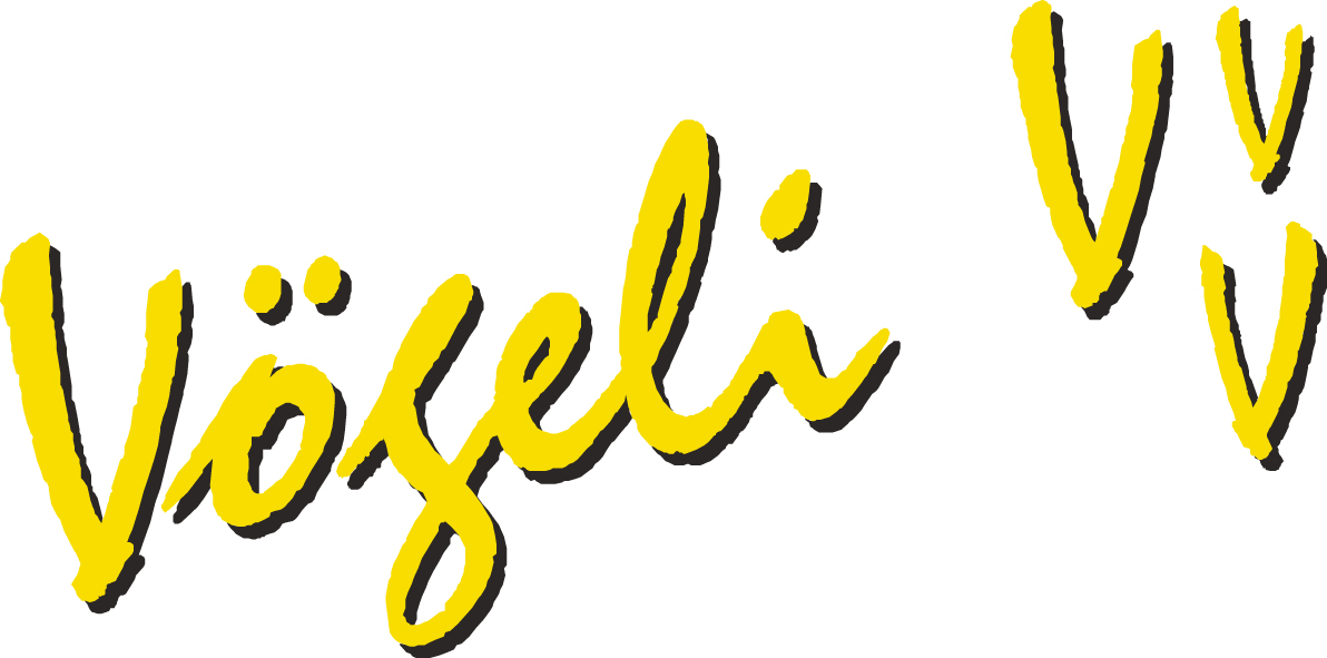 Vögeli VVV GmbH